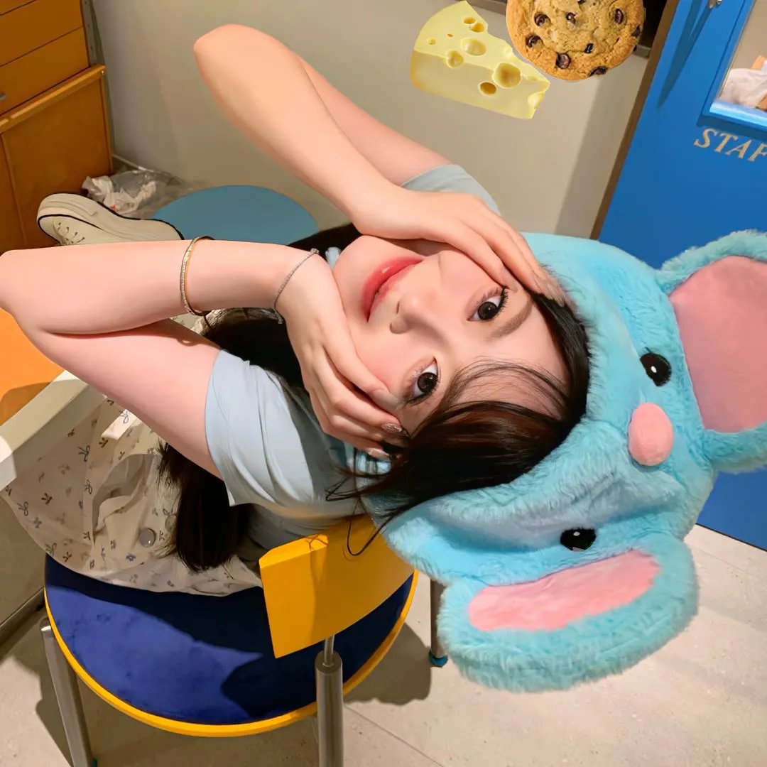 杰克兔